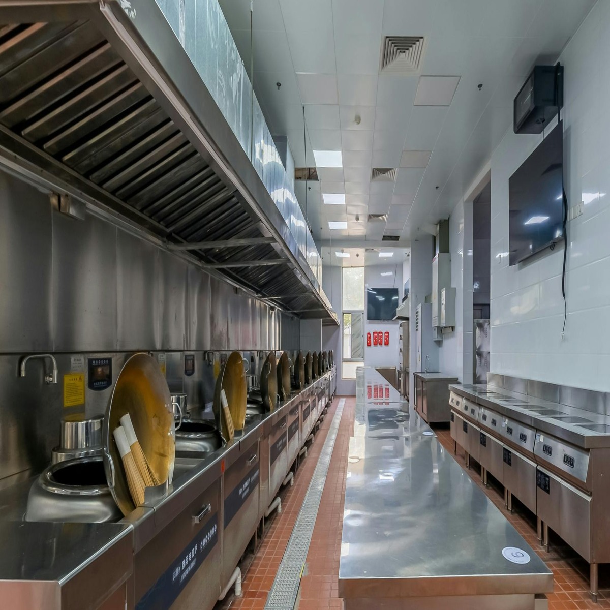 Commercial Griddle & Hot Plate