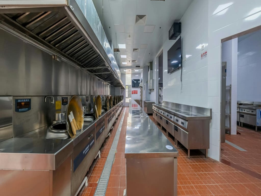 Stainless steel extraction canopy over a commercial kitchen cooking line